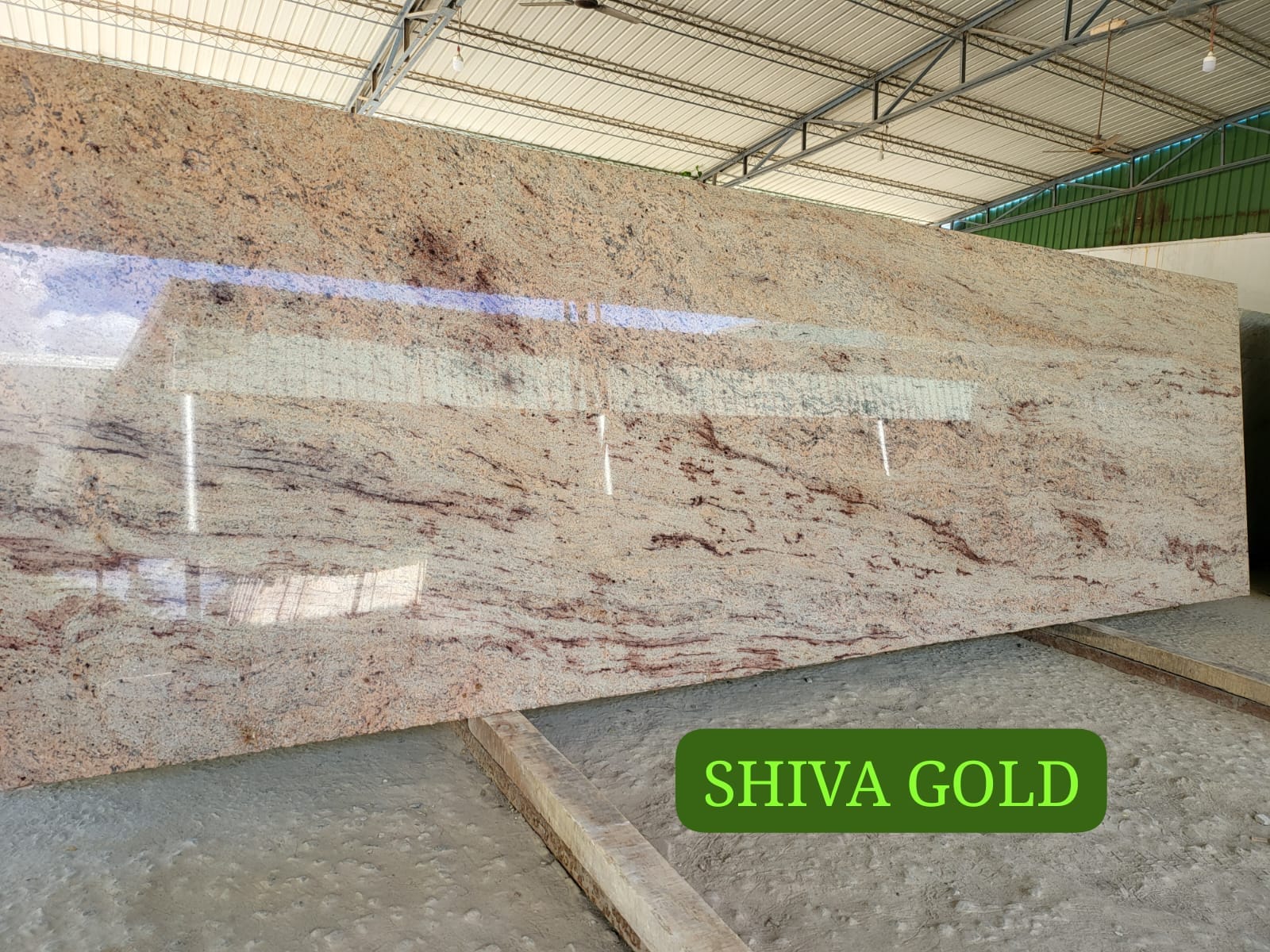 Shiva Gold granite